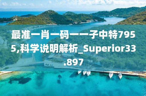 最准一肖一码一一子中特7955,科学说明解析_Superior33.897