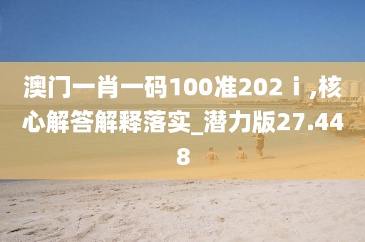 澳门一肖一码100准202ⅰ,核心解答解释落实_潜力版27.448
