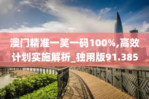 澳门精准一笑一码100%,高效计划实施解析_独用版91.385