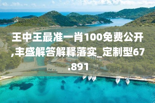 王中王最准一肖100免费公开,丰盛解答解释落实_定制型67.891