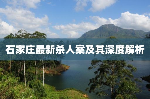 舒从蓉 第3页