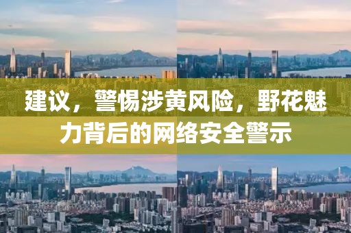 建议，警惕涉黄风险，野花魅力背后的网络安全警示