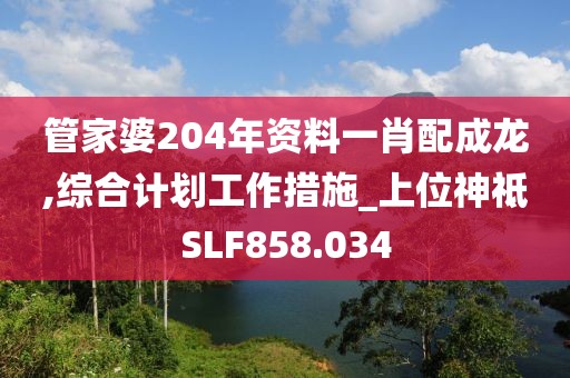 管家婆204年资料一肖配成龙,综合计划工作措施_上位神祗SLF858.034