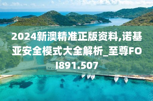 2024新澳精准正版资料,诺基亚安全模式大全解析_至尊FOI891.507