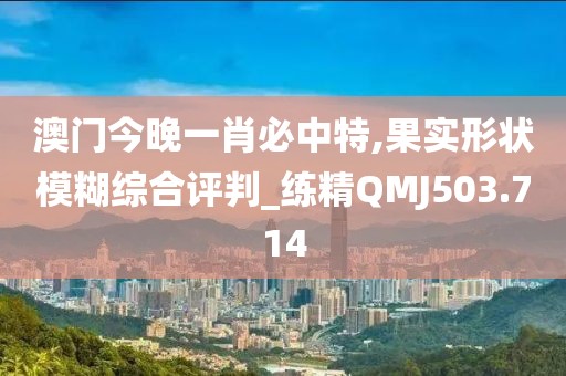 澳门今晚一肖必中特,果实形状模糊综合评判_练精QMJ503.714