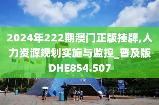 2024年222期澳门正版挂牌,人力资源规划实施与监控_普及版DHE854.507
