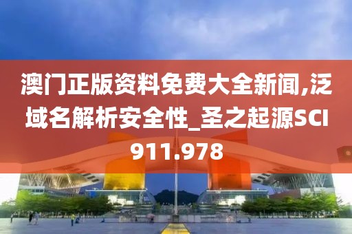 澳门正版资料免费大全新闻,泛域名解析安全性_圣之起源SCI911.978