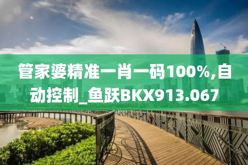 管家婆精准一肖一码100%,自动控制_鱼跃BKX913.067