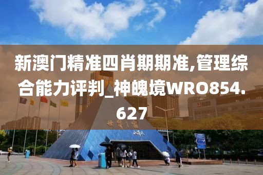 新澳门精准四肖期期准,管理综合能力评判_神魄境WRO854.627