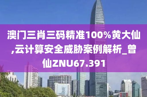 澳门三肖三码精准100%黄大仙,云计算安全威胁案例解析_曾仙ZNU67.391