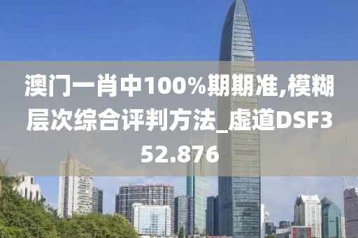 澳门一肖中100%期期准,模糊层次综合评判方法_虚道DSF352.876