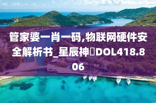管家婆一肖一码,物联网硬件安全解析书_星辰神衹DOL418.806