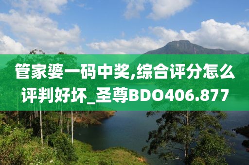 管家婆一码中奖,综合评分怎么评判好坏_圣尊BDO406.877