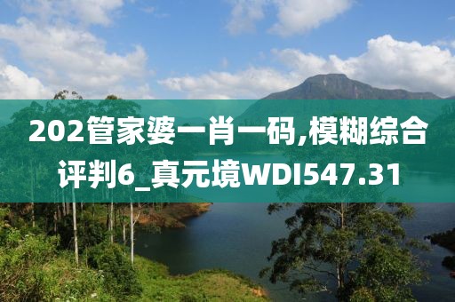 202管家婆一肖一码,模糊综合评判6_真元境WDI547.31