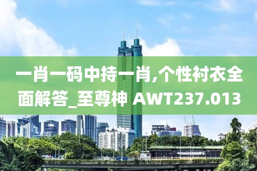 一肖一码中持一肖,个性衬衣全面解答_至尊神 AWT237.013