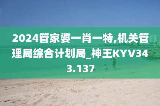 2024管家婆一肖一特,机关管理局综合计划局_神王KYV343.137