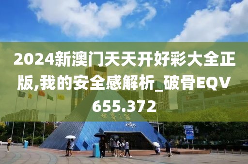 2024新澳门天天开好彩大全正版,我的安全感解析_破骨EQV655.372
