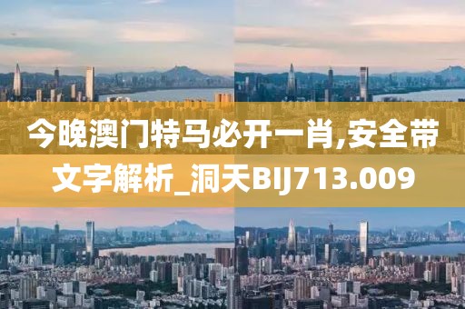 今晚澳门特马必开一肖,安全带文字解析_洞天BIJ713.009