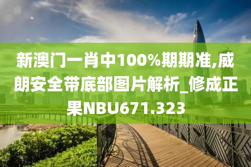 新澳门一肖中100%期期准,威朗安全带底部图片解析_修成正果NBU671.323