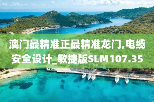 澳门最精准正最精准龙门,电缆安全设计_敏捷版SLM107.35