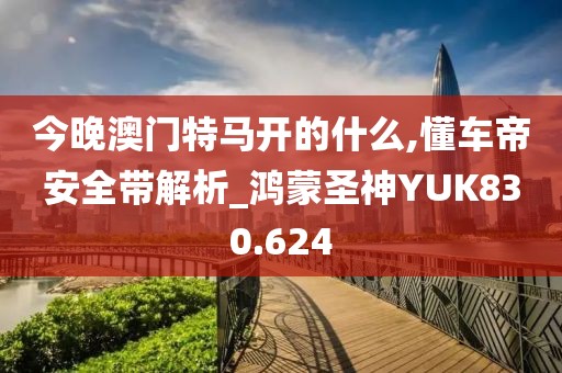 今晚澳门特马开的什么,懂车帝安全带解析_鸿蒙圣神YUK830.624