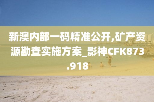 新澳内部一码精准公开,矿产资源勘查实施方案_影神CFK873.918