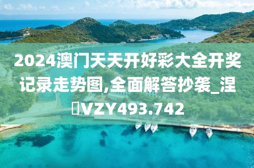 2024澳门天天开好彩大全开奖记录走势图,全面解答抄袭_涅槃VZY493.742