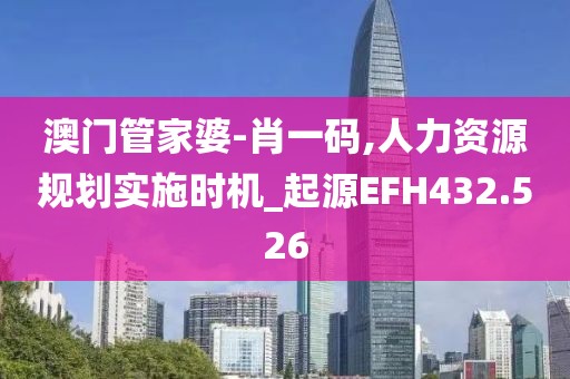 澳门管家婆-肖一码,人力资源规划实施时机_起源EFH432.526