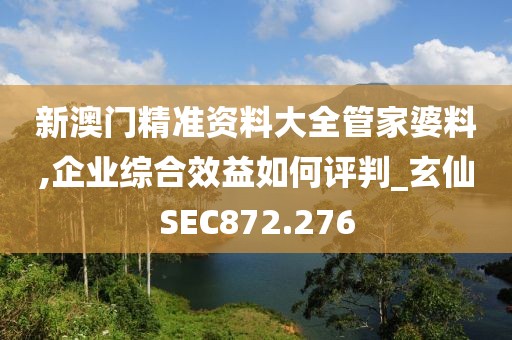 新澳门精准资料大全管家婆料,企业综合效益如何评判_玄仙SEC872.276