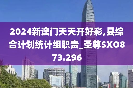 2024新澳门天天开好彩,县综合计划统计组职责_圣尊SXO873.296