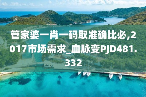 管家婆一肖一码取准确比必,2017市场需求_血脉变PJD481.332