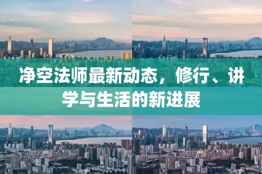净空法师最新动态，修行、讲学与生活的新进展