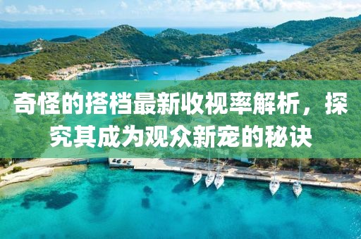 奇怪的搭档最新收视率解析，探究其成为观众新宠的秘诀
