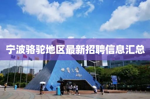宁波骆驼地区最新招聘信息汇总