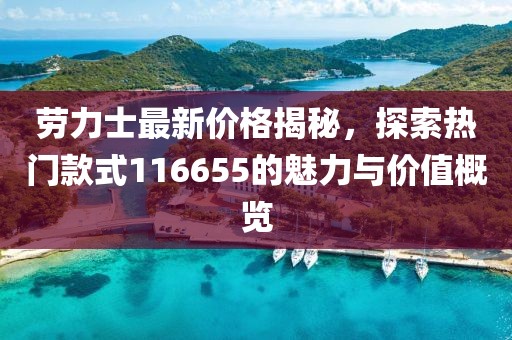 劳力士最新价格揭秘，探索热门款式116655的魅力与价值概览