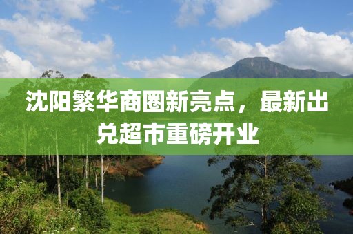 沈阳繁华商圈新亮点，最新出兑超市重磅开业