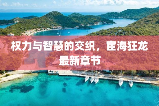 权力与智慧的交织，宦海狂龙最新章节