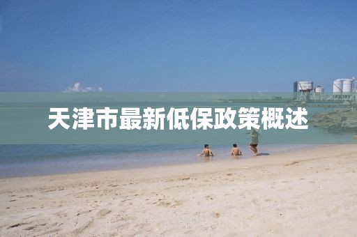 天津市最新低保政策概述