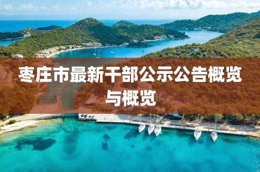 枣庄市最新干部公示公告概览与概览