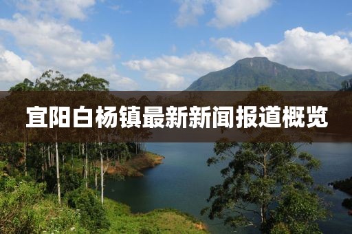 宜阳白杨镇最新新闻报道概览