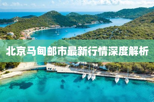 北京马甸邮市最新行情深度解析