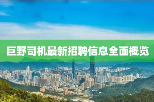 安念巧 第2页