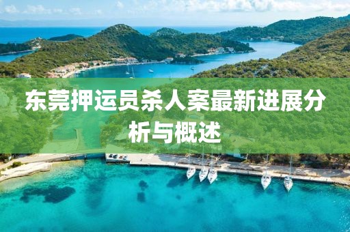 东莞押运员杀人案最新进展分析与概述