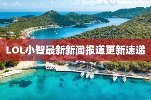 LOL小智最新新闻报道更新速递