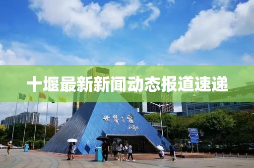 十堰最新新闻动态报道速递