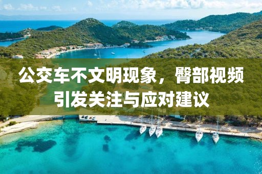 公交车不文明现象，臀部视频引发关注与应对建议
