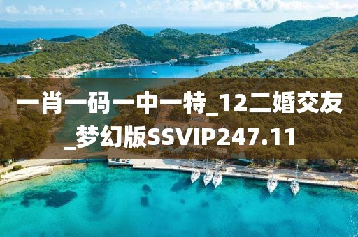一肖一码一中一特_12二婚交友_梦幻版SSVIP247.11