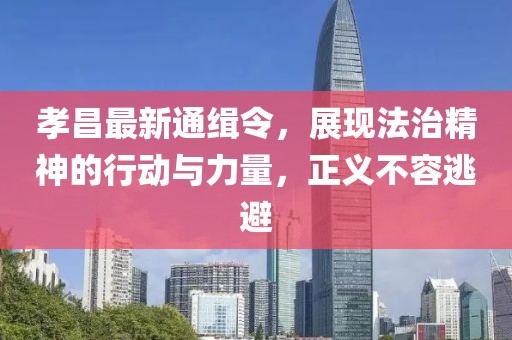孝昌最新通缉令，展现法治精神的行动与力量，正义不容逃避