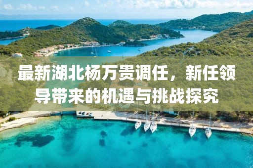 最新湖北杨万贵调任，新任领导带来的机遇与挑战探究