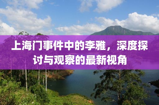 上海门事件中的李雅，深度探讨与观察的最新视角
